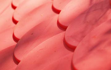 Whitehough plastic roof costs