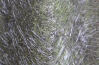 Whitehough fibreglass roof work